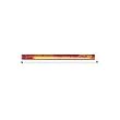Aqueon Coralife 05626 10000K T-5 Fluorescent Lamp, 24-Inch