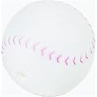 Westminster Pet 20043 Vinyl Dog Toys