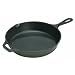 Lodge 10.25" Pre-Seasoned Skillet