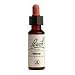 Willow - 20 ml - Liquid