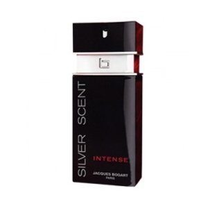 Silver Scent Intense - Eau de Toilette