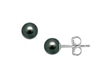 Akoya Cultured Pearl Stud Earrings : 14K White Gold 5 MM