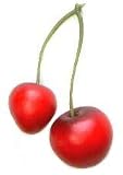 Artificial Cherry, Bag of 40, 2 Sizes