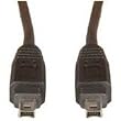 6' Ieee 1394 Firewire