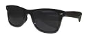 Black Wayfarer Style Sunglasses