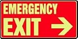 EMERGENCY AND FIRE E EMERGENCY EXIT (ARROW RIGHT) (GLOW) 7