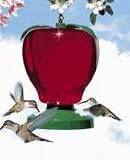 Perky Pet Apple Hummingbird Feeder - 48 oz