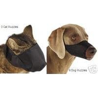 21yWPkMxBqL. SL500 AA200  12 Pack Dog and Cat Grooming Muzzles, Groomers Muzzle Set