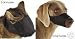 12 Pack Dog and Cat Grooming Muzzle Set - Guardian Gear
