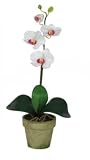 Phalaenopsis Silk Orchid Flower Arrangement