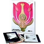 Hubbard Flower Study Model