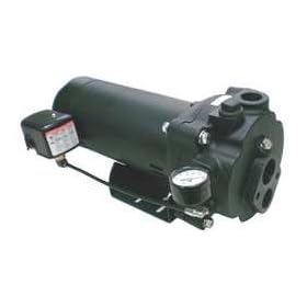 Dayton 5UXK5 Convertible Jet Pump, CI, 1HP, 115/230V: Industrial &amp; Scientific