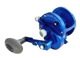 Avet Jx 6/3 2spd Silver Conventional Reel