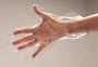 Galaxy Polyethylene Disposable Food Handling Gloves, Medium, 1000 per Carton