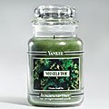 21yZRXhRBIL. SL160  Mistletoe Yankee Candle 14.5 oz
