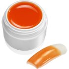 Colaxy *PREMIUM* GLASGEL 5ml - PURE SOFT TOUCH - SPU62 Soft Orange Preisvergleich