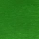 Permaset Aqua Fabric Magic Supercover Mid Green 300 ml (10 oz)