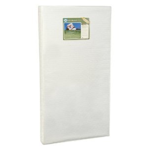 Sealy Soybean Foam-Core Crib Mattress