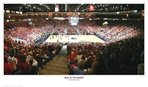 Arizona Wildcats Duel in the Desert Panoramic