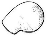 Doskocil #29351 Indigo Dog Hous Grey Pad