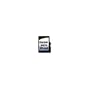 Garmin Mobile XT miniSD Card North America