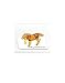 NAY The Horse - Tynies Miniature Glass Figurine_s-1