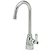 Zurn Z825B1-6F - Deck Mounted Gooseneck Lab Faucet, Z825B1-XL-6F