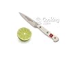 Wusthof Classic White 3-1/2 in. Paring Knife 4066-0-9