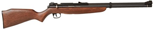 Crosman Benjamin Discovery Pre-Charged Pneumatic PCP Dual Fuel .22 Air Rifle and Pump Crosman Benjamin Discovery Pre-Charged Pneumatic PCP Dual Fuel .22 Air Rifle and Pump