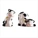 COW SALT & PEPPER SHAKERS