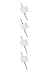 Solid 14K White Gold Stud Set (4)