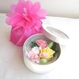 �y�z���C�g�f�[�z�t�F�̃��E���h�P�[�X�I�i�v���U�[�u�h�t�����[�j�t�F�A���[Box�y���َq�t���z�@�y���j���E�L�O���E�a�����E�t�����[�M�t�g�E�o���z