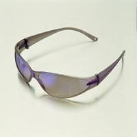 Msa Safety Works Safety Glasses Grey 697515