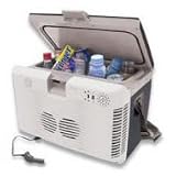 Wagan 10.5 Liter 12V Cooler Warmer by Wagan