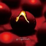 鵺 -chimera-(A盤)(DVD付)