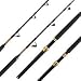 Penn Gold Label Series International V Standup B-Handle Rod (5-Feet/6-Inch, 30-80-Pound)