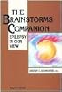 The Brainstorms Companion: Epilepsy in Our View