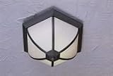 17007-02-04 Forte Lighting