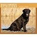 Black Labrador Retrievers 2009 Desk Calendar