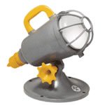 21ylVllh2gL. SL160  #150G Flood Light