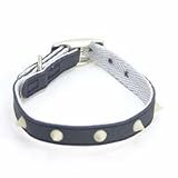 PETSTEP �W�F���[�X�p�C�N�J���[ 10 S �u���b�N 16321