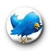 TWITTER BLUE BIRD Pinback Button 1.25" Pin / Badge ~ Tweet Tweeting