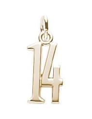Rembrandt Charms Number 14 Charm