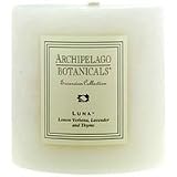 Archipelago Botanicals 35 x 35 Pillar Candle Luna