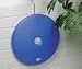 Kitchen & Housewares : Blue Agua Round Radiator Humidifier