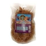 Fresh Whole Leaf Irish Moss (Raw, Wildcrafted) 16 oz