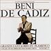 Great Flamenco Singers, Vol. 17