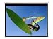 Electronics : Optoma 72-Inch Panoview Manual Pull-Down Screen (Matte White)