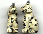 Dalmation Jasper Dog