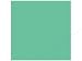 ColorMates 12x12 Classic Light Emerald Isle- 65lb